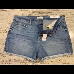 NWTs Loft high rise shorts